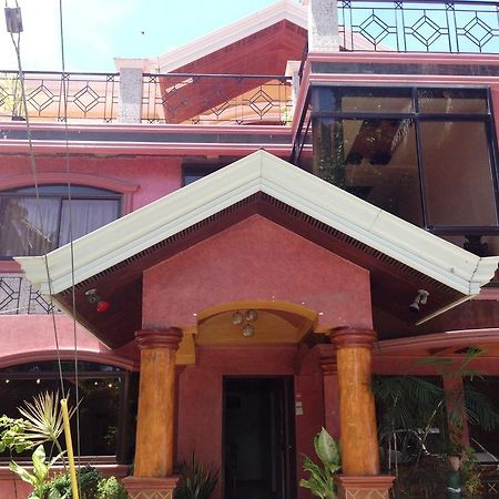 Coco Grove Tourist Inn Đảo Đảo Panglao Ngoại thất bức ảnh