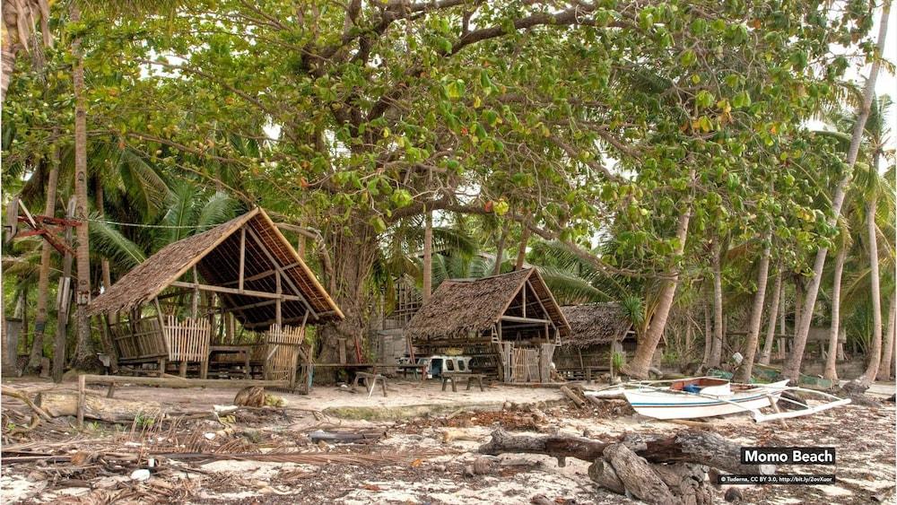 Coco Grove Tourist Inn Đảo Đảo Panglao Ngoại thất bức ảnh